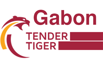 india-gabon-business-and-cultural-council-tender-listing-tender-tiger